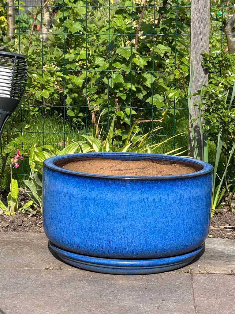 Mooie kwaliteit Blauwe turquoise keramische bloempotten, Gebruikt, Rond, Binnen, Minder dan 40 cm