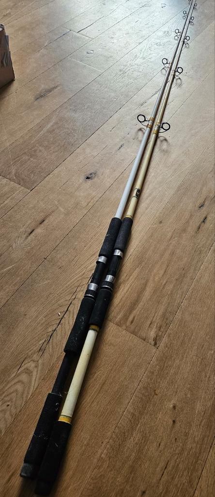 Strandhengels 250cm 1 is van fenwick, Watersport en Boten, Hengelsport | Zeevissen, Ophalen, Overige typen