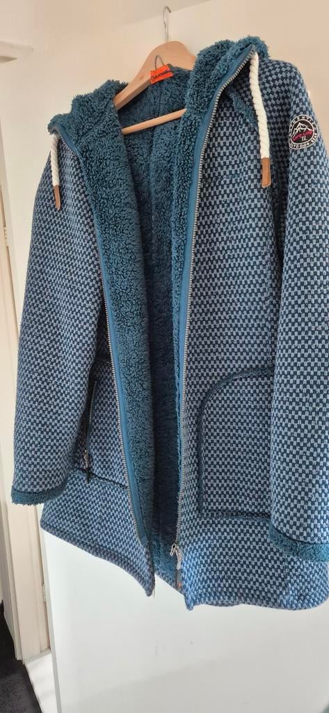 Mooi vest, Ophalen, Zo goed als nieuw, Trui of Vest