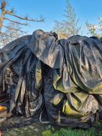 Antie worteldoek, Tuin en Terras, Ophalen of Verzenden, Laurier