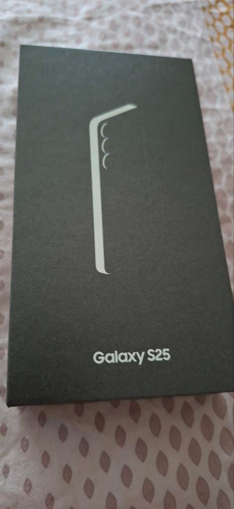 Samsung Galaxy S25 Silver Shadow 256GB - Nieuwstaat, Telecommunicatie, Mobiele telefoons | Samsung, Ophalen, Overige modellen