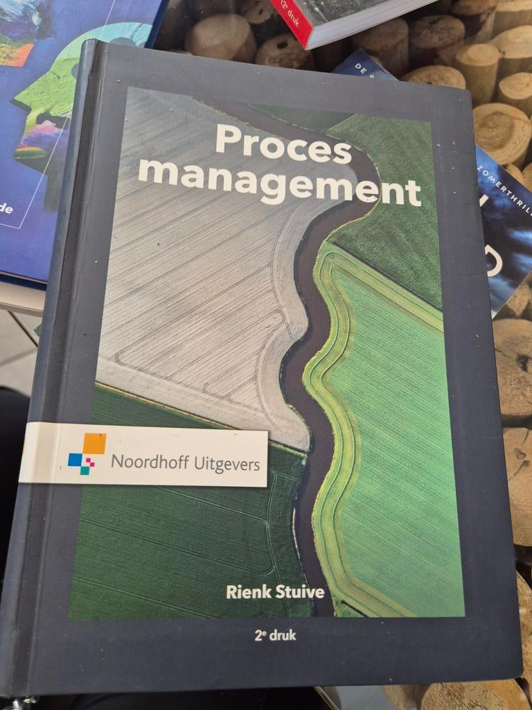 Procesmanagement - Rienk Stuive (2e druk) - Bedrijfskunde, Boeken, Ophalen of Verzenden, Zo goed als nieuw, HBO, Rienk Stuive