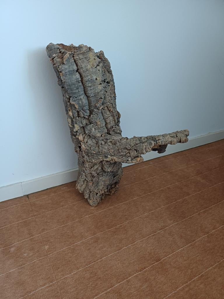 Boomstam kurk, Ophalen