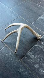Hertengewei, Ophalen of Verzenden, Zo goed als nieuw, Overige materialen, Minder dan 25 cm