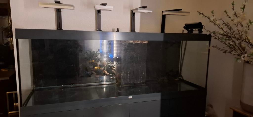 Aquarium incl techniek te koop, Dieren en Toebehoren, Vissen | Aquaria en Toebehoren, Ophalen, Zo goed als nieuw, Leeg aquarium