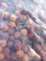 Voer boilies 5 kilo, Watersport en Boten, Ophalen of Verzenden, Nieuw, Overige typen
