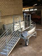 Professionele Behandelbox / Klauwbekapbox voor Vee