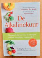 Jesse van der Velde - De Alkalinekuur, Ophalen of Verzenden, Zo goed als nieuw, Dieet en Voeding