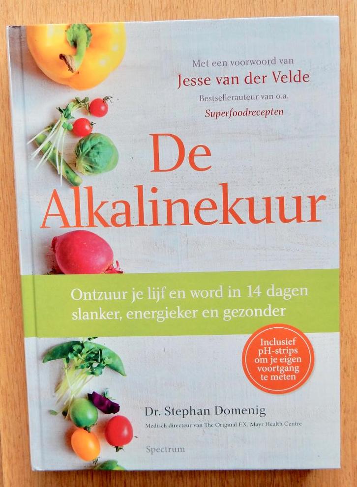 Jesse van der Velde - De Alkalinekuur, Boeken, Gezondheid, Dieet en Voeding, Zo goed als nieuw, Dieet en Voeding, Ophalen of Verzenden