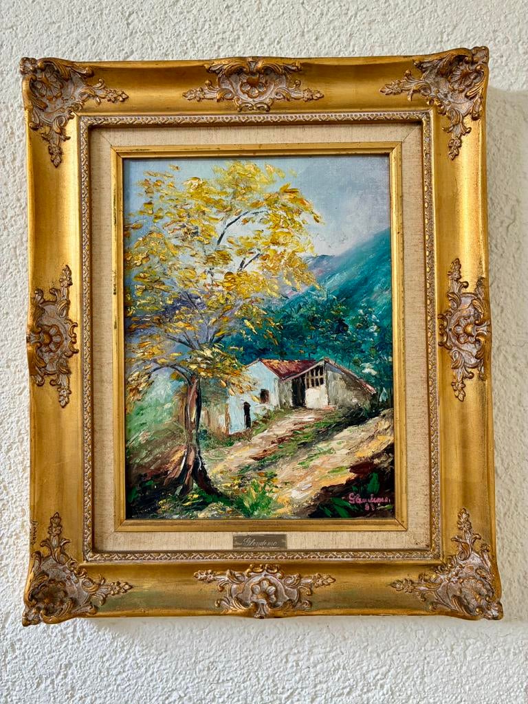 Schilderij, afmetingen: 58x48cm, Ophalen