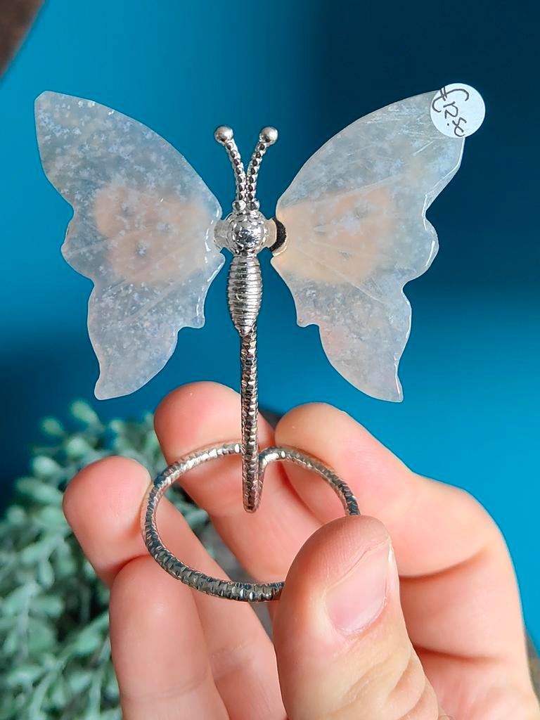 Vlindertje, Ophalen of Verzenden