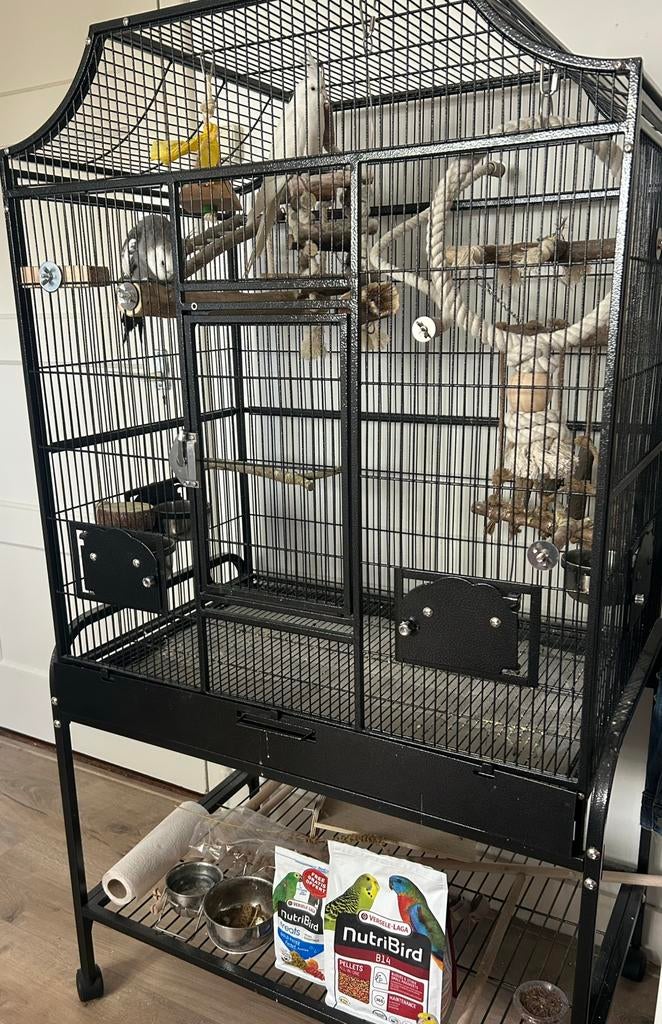 Valkparkieten, Dieren en Toebehoren, Vogels | Hokken en Kooien, Zo goed als nieuw, Vogelkooi, Metaal, Ophalen