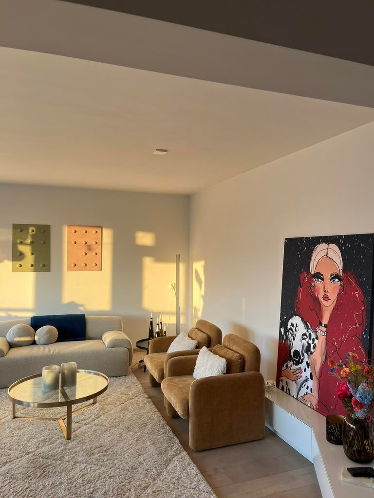 ‘Passend door ontbreken’ 2 schilderijen van 50x70, Ophalen