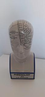 Phrenology hoofd, Ophalen of Verzenden