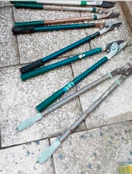 Diverse takkenscharen en snoeischaren, Ophalen of Verzenden, Gebruikt, 30 t/m 39 mm