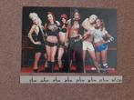 Posters Pussycat Dolls 3 stuks Hitkrant Anouk Gavin Degraw, Rechthoekig Liggend, Ophalen of Verzenden, Zo goed als nieuw, A1 t/m A3