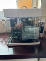 Superfish Panorama 20 Led & Pro heather 50w, Dieren en Toebehoren, Ophalen, Zo goed als nieuw, Leeg aquarium