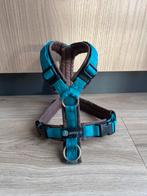 Anny-X tuig XS (43-52cm borstomvang), Ophalen of Verzenden, Zo goed als nieuw