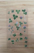 klavertje vier groene stickers, Hobby en Vrije tijd, Verzenden, Nieuw, Meerdere stickers