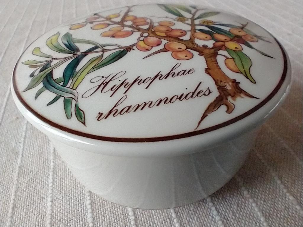 Porseleinen dekseldoosje Duindoorn van Villeroy & Boch, Ophalen of Verzenden, Overige stijlen, Porselein, Schaal of Schalen