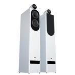 JM Reynaud Cantabile Jubilé loudspeakers, ., Zo goed als nieuw, ., 120 watt of meer