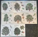 Vintage Royal Goedewaagen Tegels - Boomsoorten, Antiek en Kunst, Ophalen of Verzenden