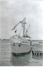 Scheepvaart, Verzamelen, Scheepvaart, Verzenden, Nieuw, Motorboot, Kaart, Foto of Prent