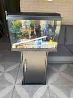 Gebruikte aquarium van Jewel, Dieren en Toebehoren, Vissen | Aquaria en Toebehoren, Ophalen, Gebruikt, Leeg aquarium