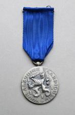 Vaardigheids medaille Nederlandse Sportfederatie, Verzamelen, Nederland, Ophalen of Verzenden, Landmacht, Lintje, Medaille of Wings