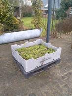 Gemakkelijke moestuin bakken, Ophalen of Verzenden, Potgrond