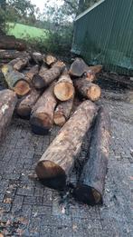 Eiken planken bomen gezaagd, Doe-het-zelf en Verbouw, Hout en Planken, Ophalen of Verzenden
