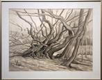 Aquarel Bomen - Kunstenaar: Theo Groeneveld, Antiek en Kunst, Ophalen of Verzenden