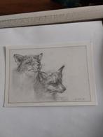 E. VAN. MERKERK.   DE WILDE VOS, Ophalen of Verzenden, 1960 tot 1980, Overige thema's