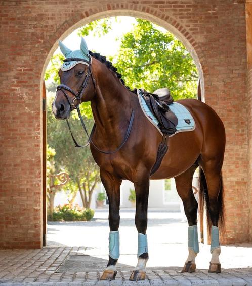 LeMieux Loire Aqua Spring CC dekje GRATIS VERZENDING, Dieren en Toebehoren, Paarden en Pony's | Dekens en Dekjes, Nieuw, Dekje