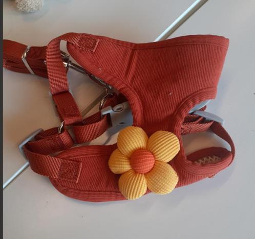 Hondentuigje groen + rood met bloem (A55 + A54), Dieren en Toebehoren, Honden-accessoires, Nieuw, Ophalen of Verzenden