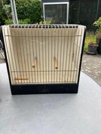 Tentoonstellingskooi te koop., Dieren en Toebehoren, Mannelijk, Zangkanarie