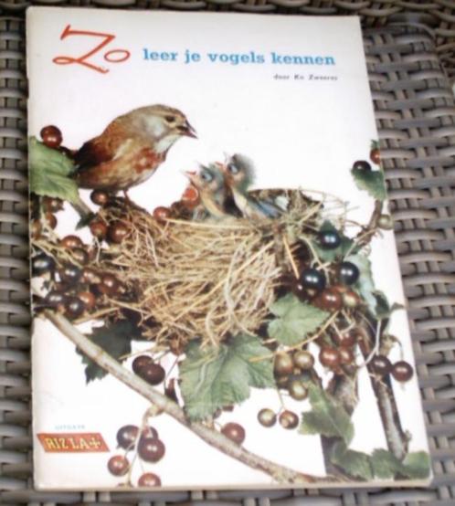 Zo leer je vogels kennen. Rizla+ compleet album., Boeken, Natuur, Zo goed als nieuw, Vogels, Ophalen of Verzenden