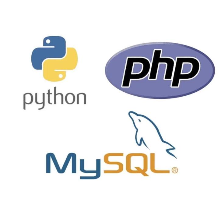 PHP Python MySQL ontwikkelaar (programmeur), Computers en Software, Overige Computers en Software, Nieuw, Ophalen