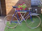 Colnago Ernesto Colner - Ijsboerke 1975, Fietsen en Brommers, Fietsen | Oldtimers, 59 cm of meer, Ophalen, Jaren '60 of nieuwer