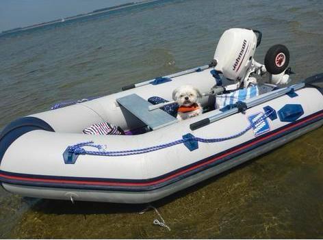 Rubberboot 270, Watersport en Boten, Kano's, Zo goed als nieuw, Overige typen, Twee personen, Ophalen