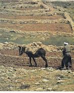 Zink, Jörg - Vijf broden en twee vissen (1973), Boeken, Ophalen of Verzenden, Zo goed als nieuw