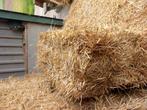 Tarwe stro, Dieren en Toebehoren, Dierenvoeding, Ophalen of Verzenden, Vee