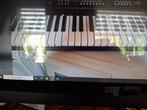 keybord, Muziek en Instrumenten, Keyboards, Ophalen, Nieuw, 61 toetsen