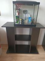 Aquarium Superfish start 50 =45 liter compleet set, Ophalen, Zo goed als nieuw, Leeg aquarium