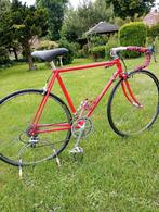 Stalen racefiets 54cm, 51 tot 55 cm, Ophalen of Verzenden