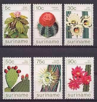 Suriname 434/9 postfris Cactussen 1985, Postzegels en Munten, Postzegels | Suriname, Postfris, Verzenden