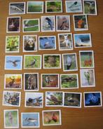 33 verschillende dieren stickers van Coop, Verzamelen, Coop, Ophalen of Verzenden