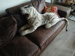Witte tijger, Ophalen of Verzenden, Zo goed als nieuw, Eenpersoons, Minder dan 150 cm