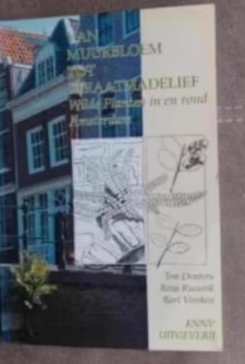 Van muurbloem tot straatmadelief door T. Denters beschikbaar voor biedingen