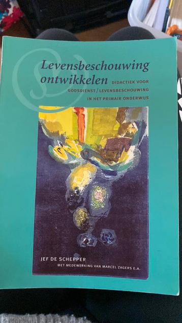 J. De Schepper - Levensbeschouwing ontwikkelen beschikbaar voor biedingen